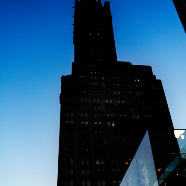 Sherry-Netherland Hotel, NYC (2013)