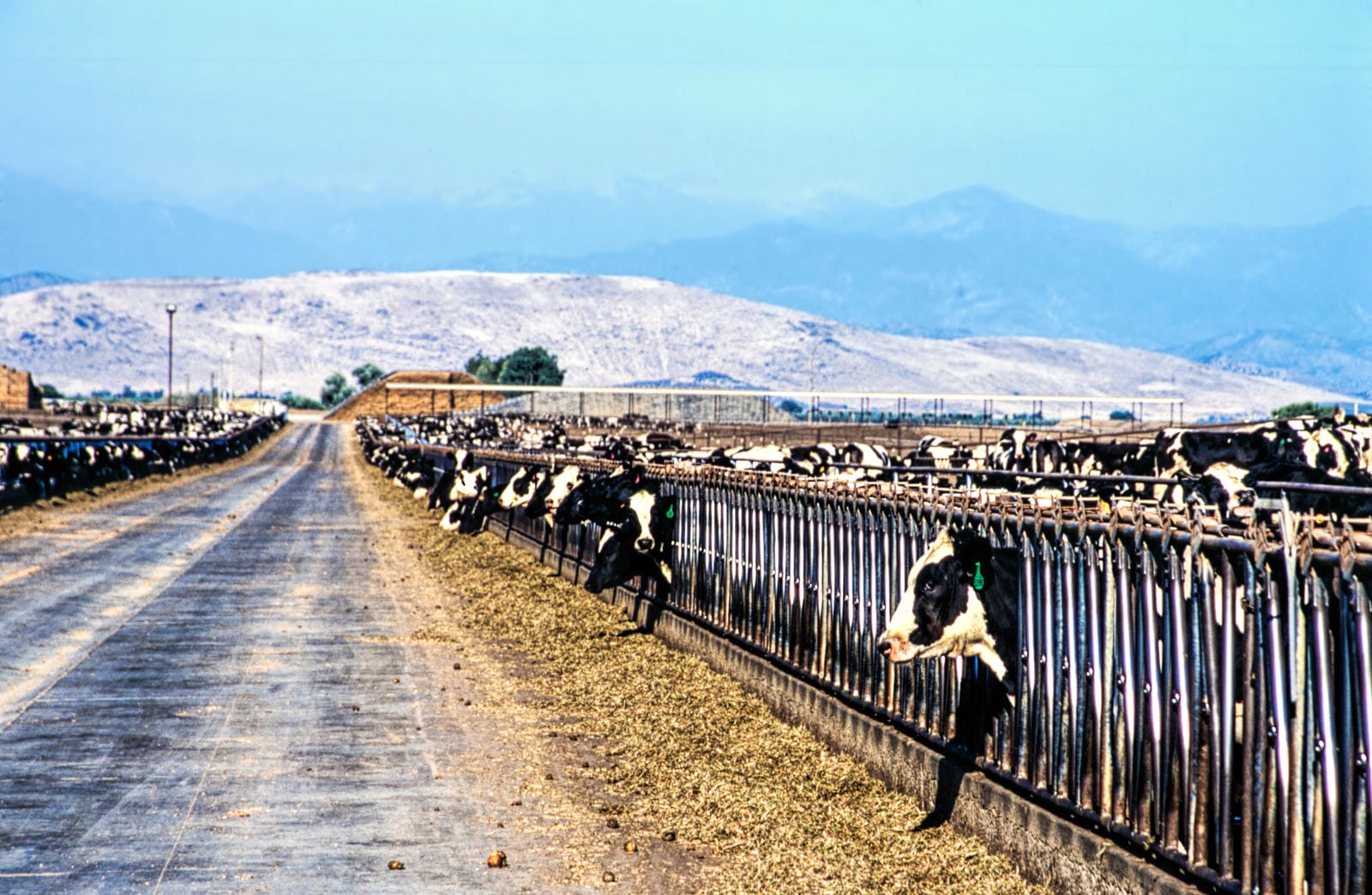 Near Bakersfield, California